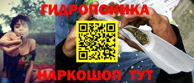 прущие крисы Кинель